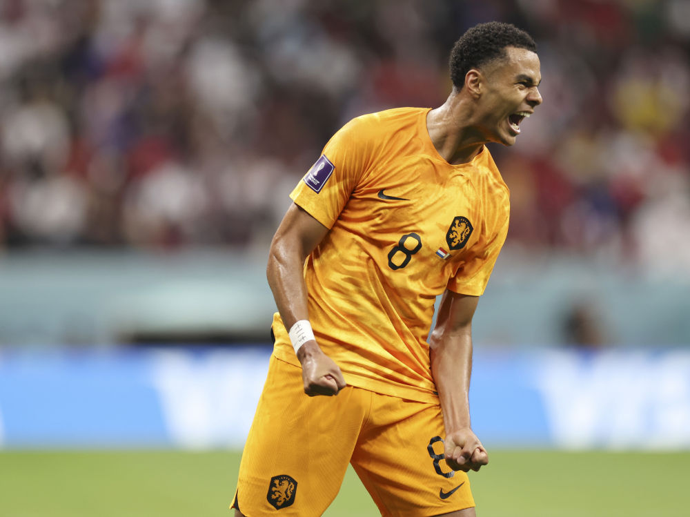 荷兰队豪取胜利，晋级几乎确定