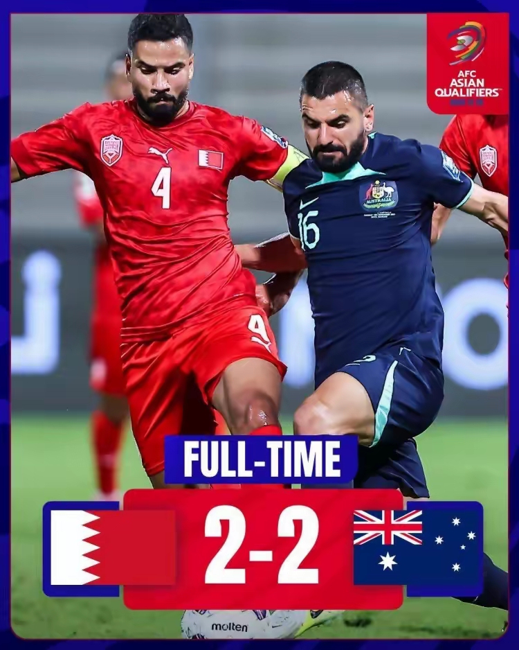 关于荷兰队客场绝平土耳其，稳坐小组第二席位的信息