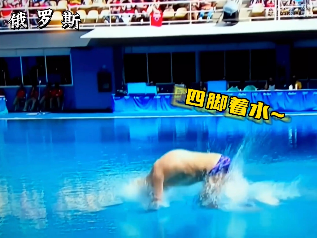 开云体育官网-挪威跳水选手高难度动作，震撼全场