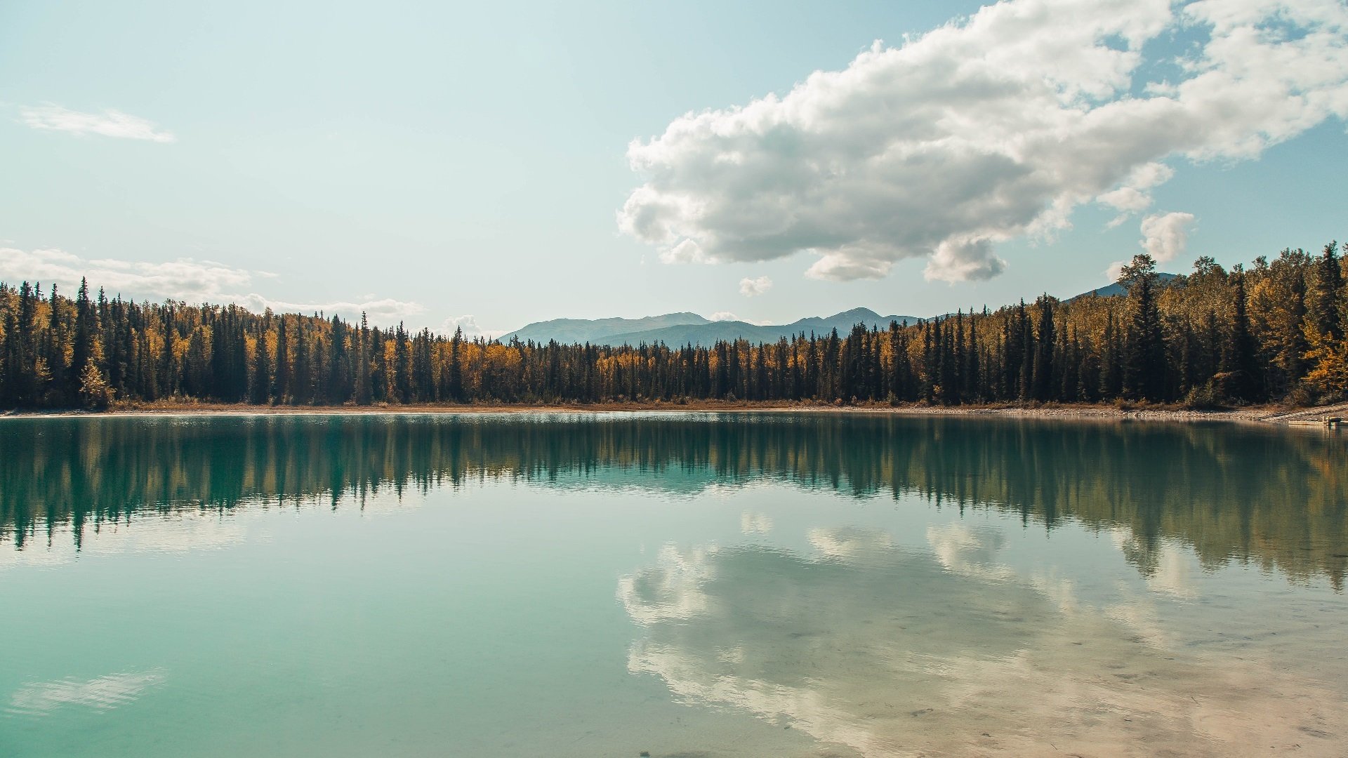 北非之鹰一锤定音,托尼关键先生助突尼斯全面压制波兰