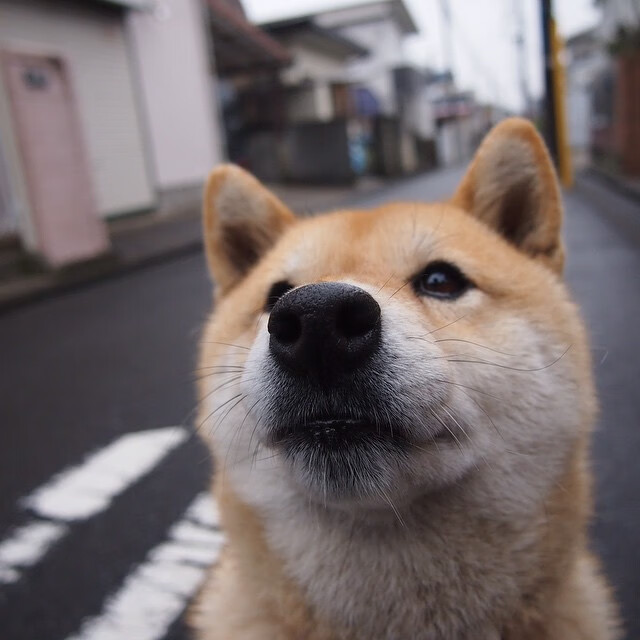烈焰焚磐石,太阳抢七鏖战终结马刺时代,纳什血染战袍的最后一舞