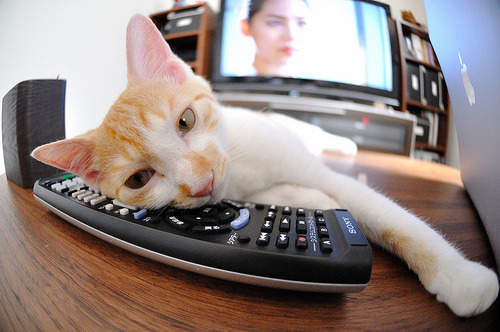 无声惊雷,克莱·汤普森在总决赛夜晚的隐身统治力