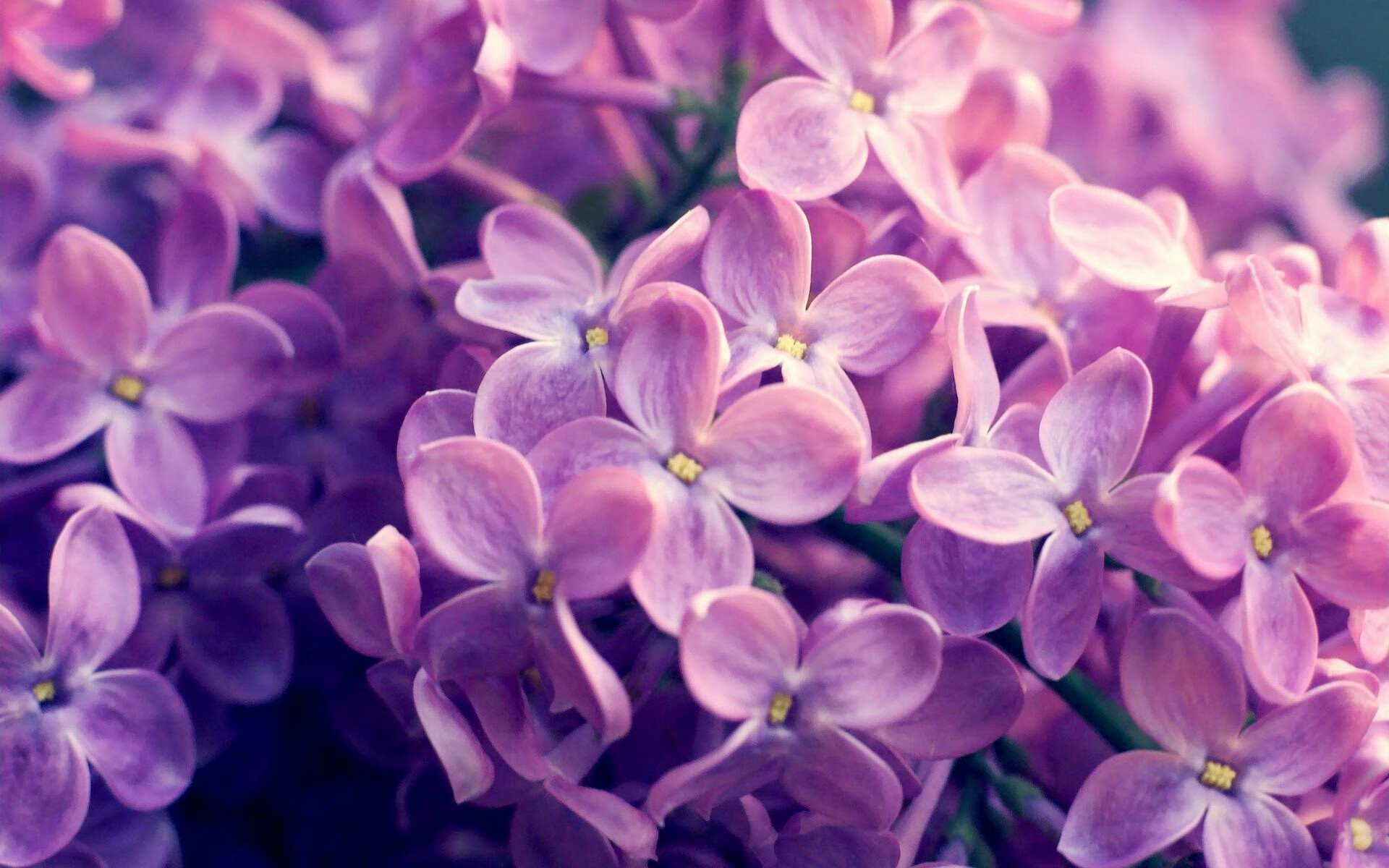 2026世界杯之夜,浓眉攻防两端的统治传奇