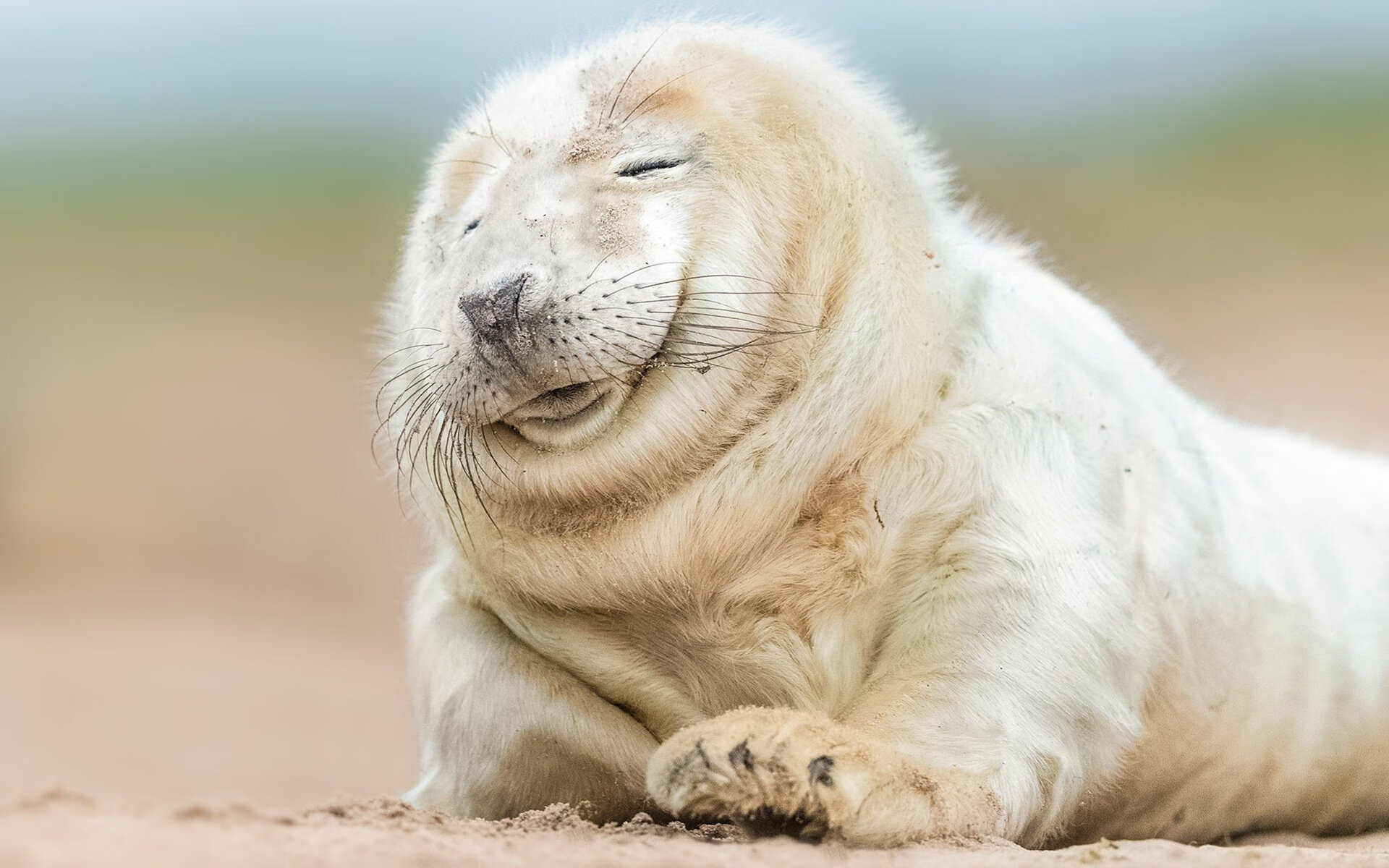 开云体育登录-F1午夜魔咒，巴雷拉在赛道刀锋上持续制造杀伤