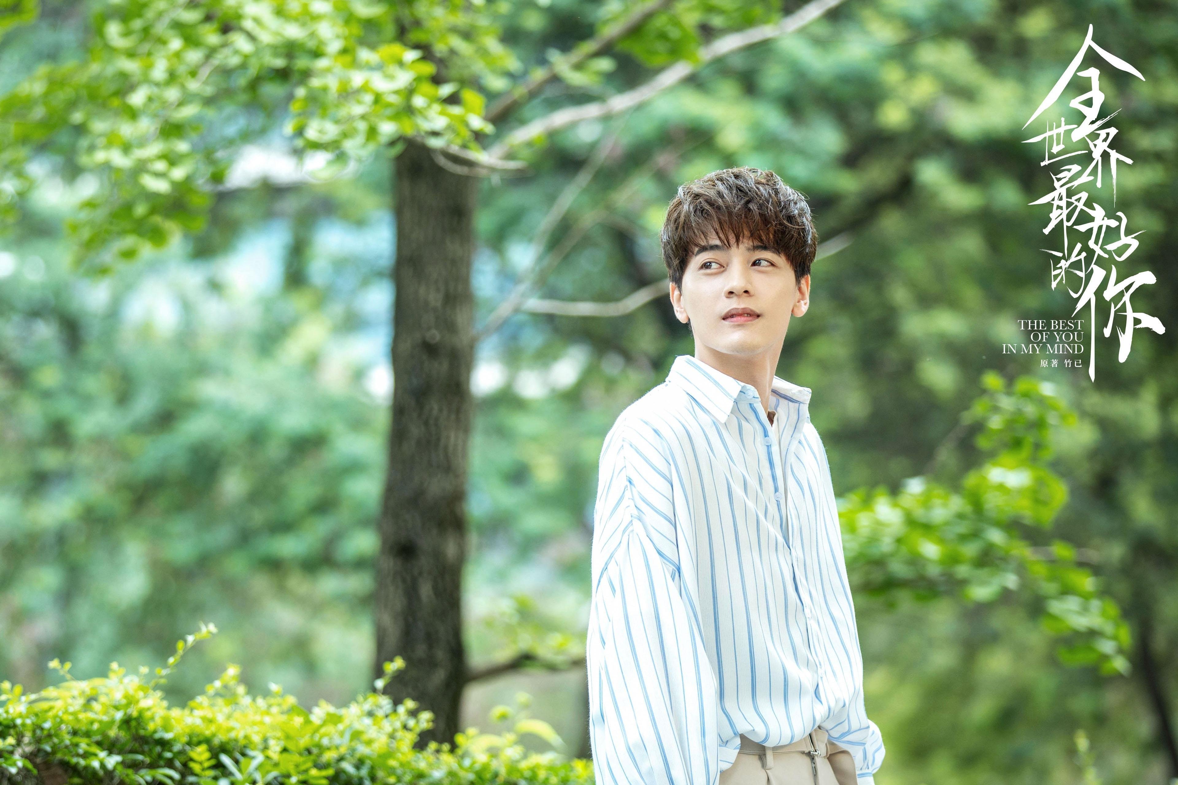 双城记，从明尼苏达的狼群到马德里的星光