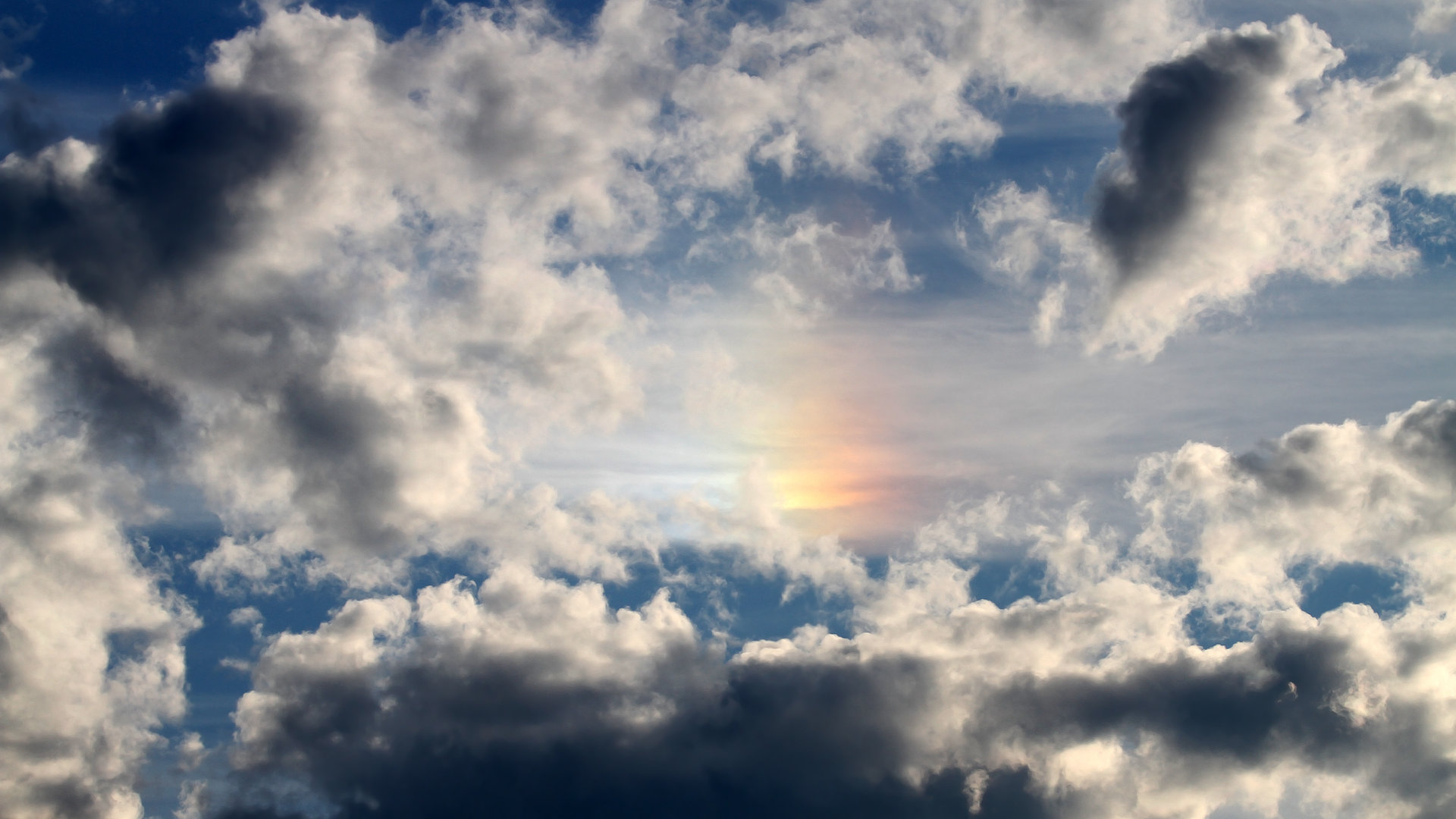 开云体育平台APP-赛后最高分，戈麦斯给中国足球的评分