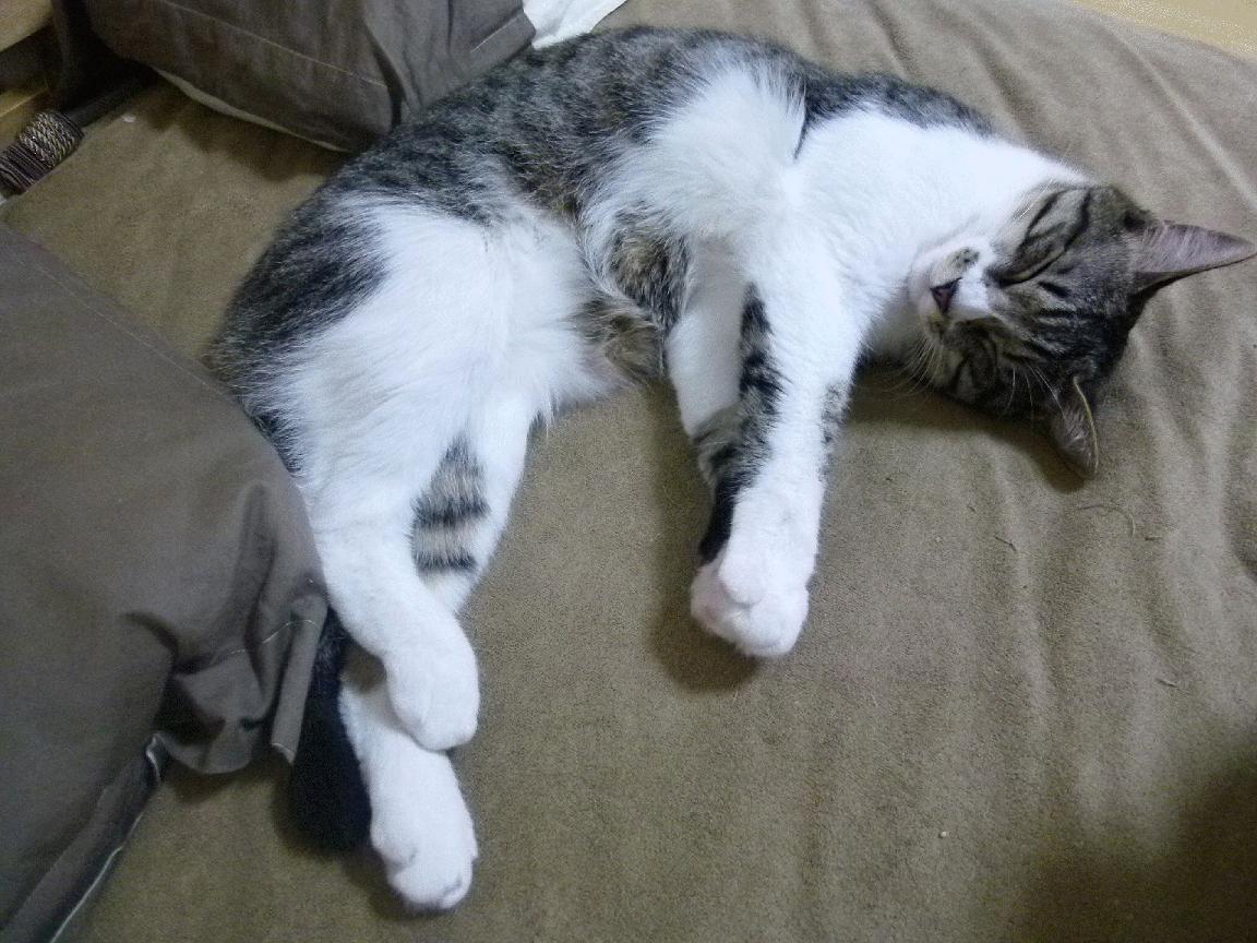 开云体育中国-王牌对王牌，贝恩生死时速率火箭射落掘金