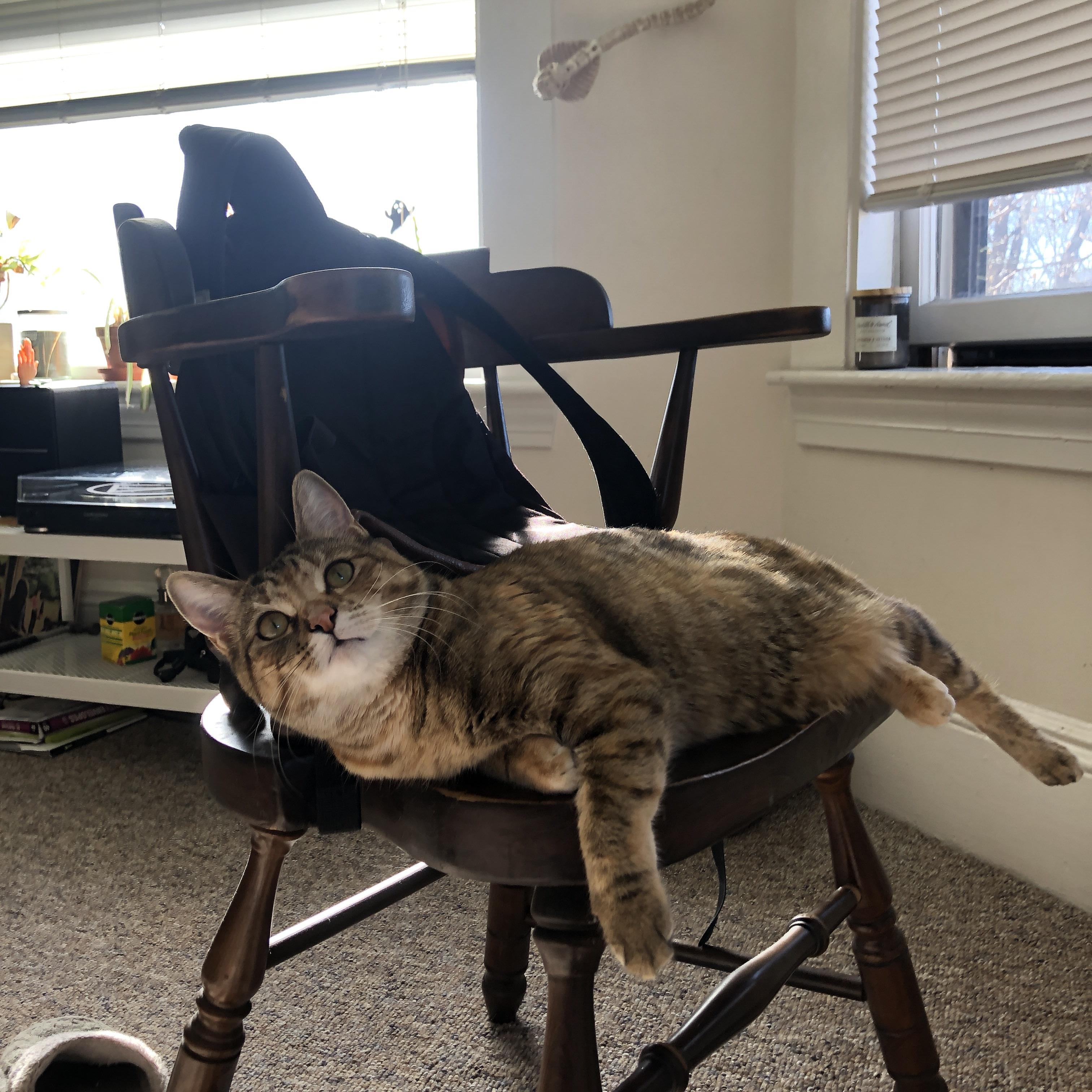 开云-钢铁公牛带走灰熊，文班亚马如何用防守重建比赛美学