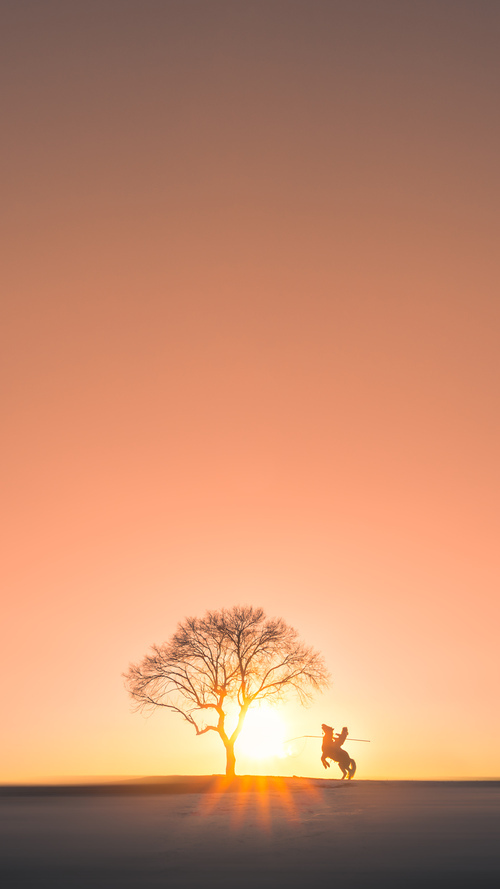 剑舞苍穹！欧文单骑救主化身绝境之王，骑士狂胜太阳夺东决赛点