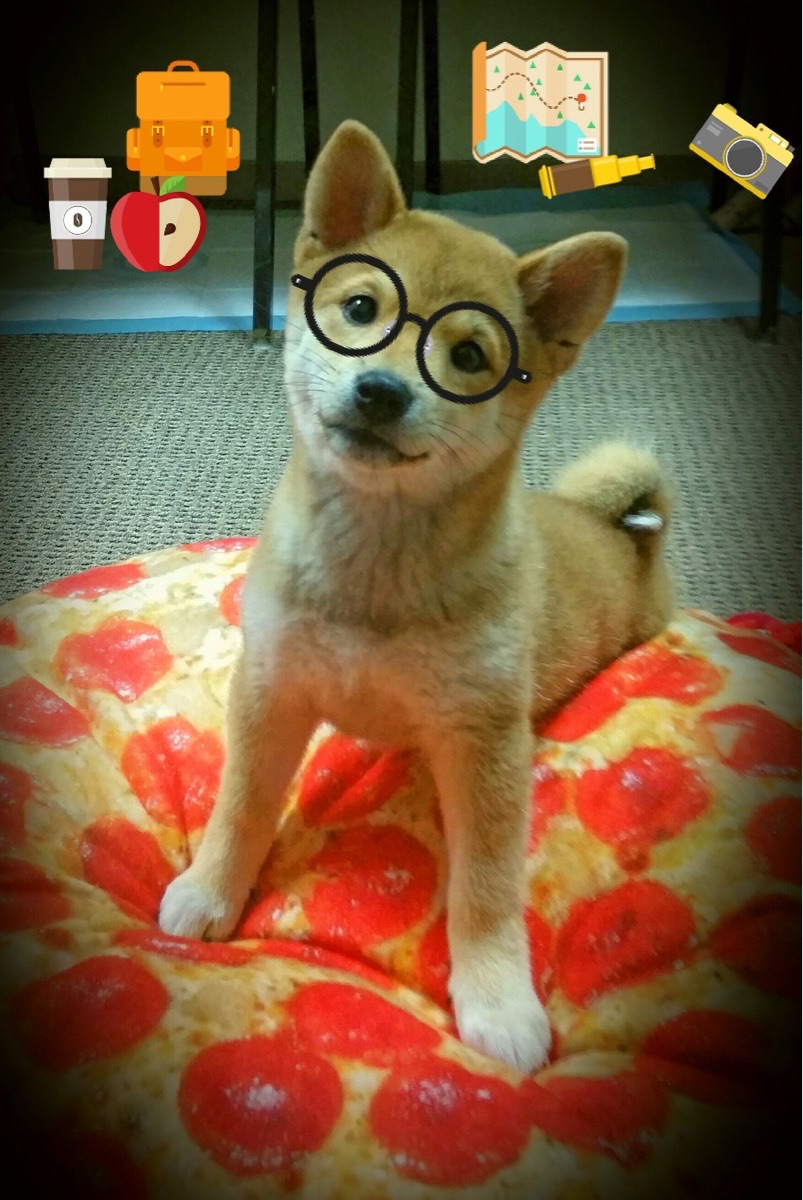 当飓风遇到铁壁，哈兰德肆虐却难阻马赛的精密系统足球