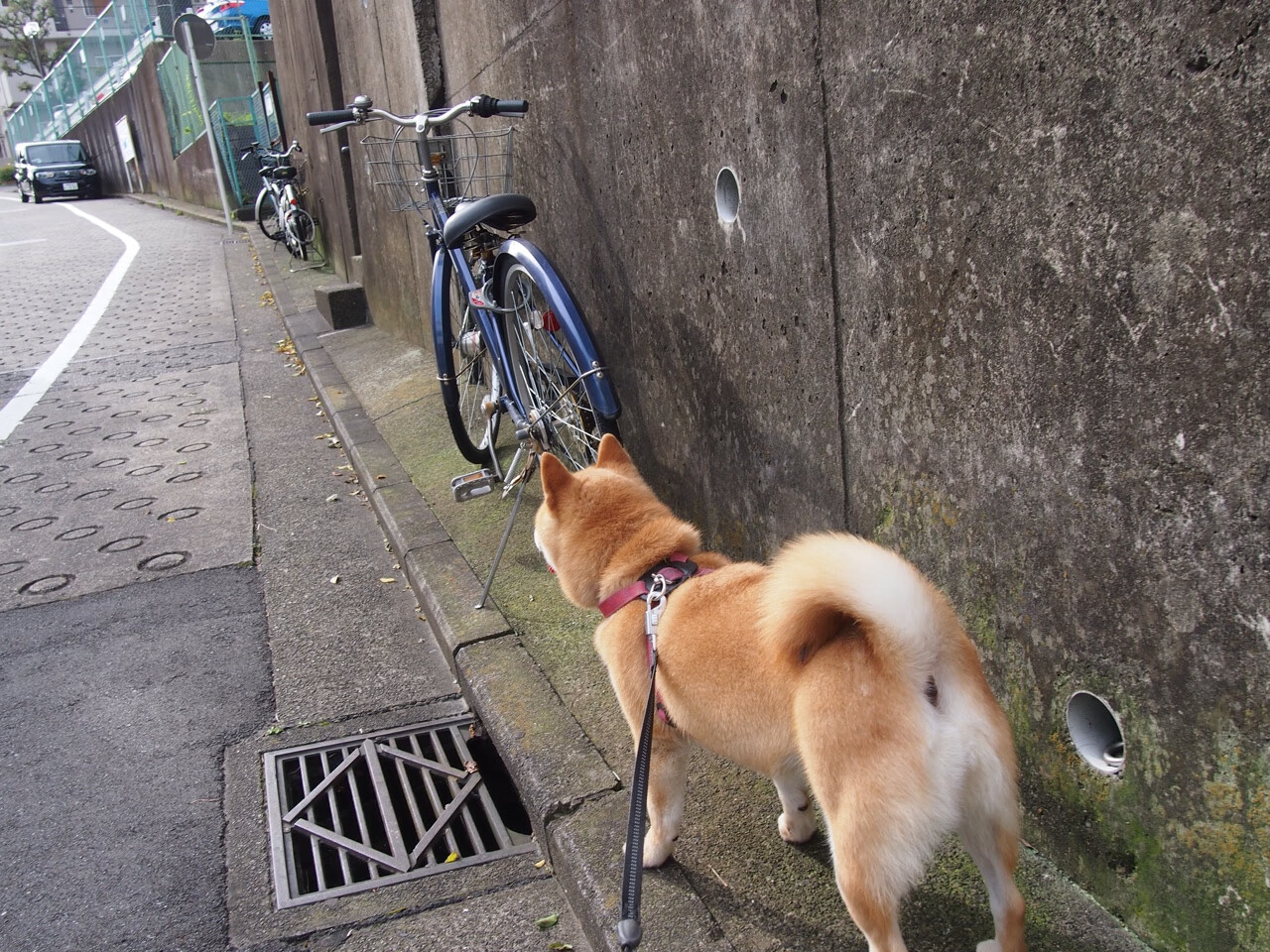 高原之火遇银黑风暴，马刺体系如何击溃山西三分狂潮
