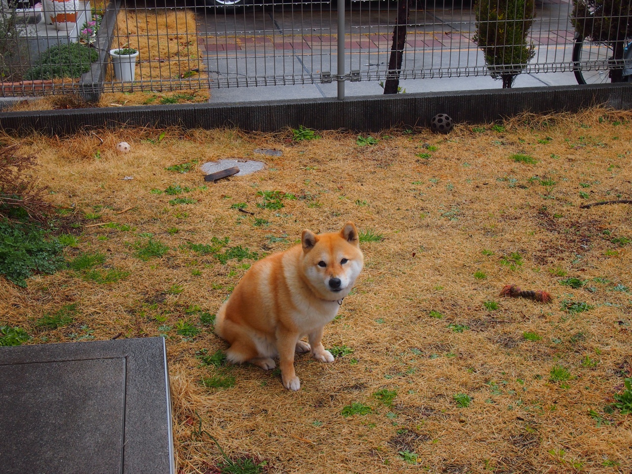 夜之无解，米切尔与那场让所有防守者沉默的总决赛