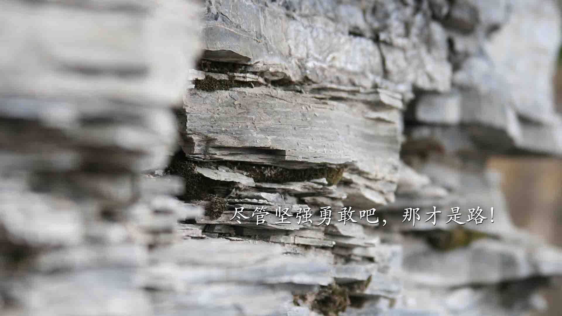 绝地反攻，2026世界杯F组巅峰对决，福登天神下凡助英格兰逆转瑞士，美国虽败犹荣