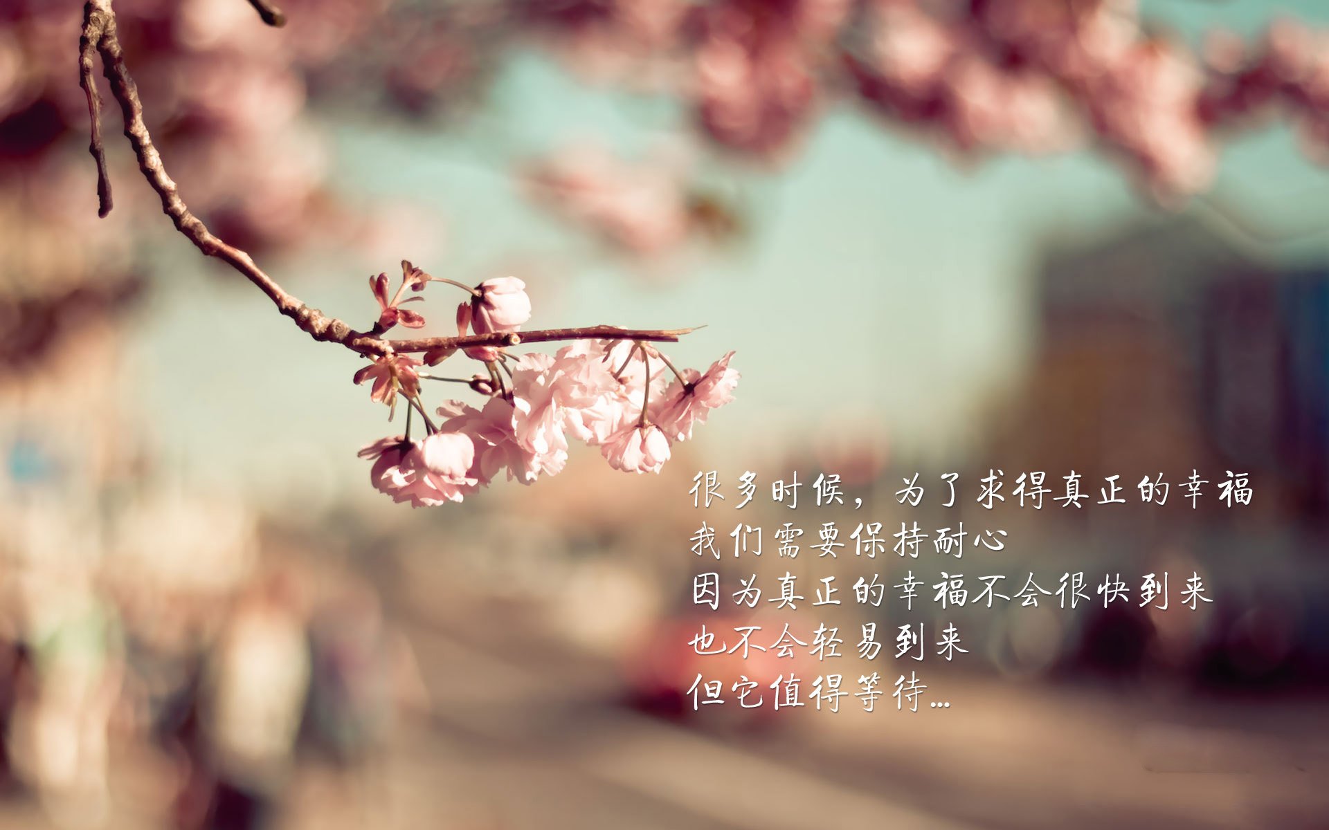 冷门之夜，2026世界杯B组焦点战，泰国力克伊朗，坎塞洛一人改写亚洲足球格局