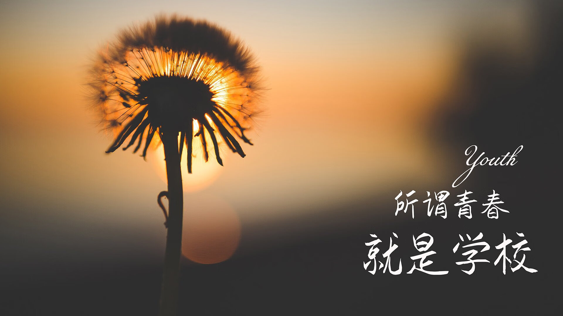 开云-蓝衣军团的宿命回响,2026世界杯,当历史重演,姆巴佩主宰的意外之战