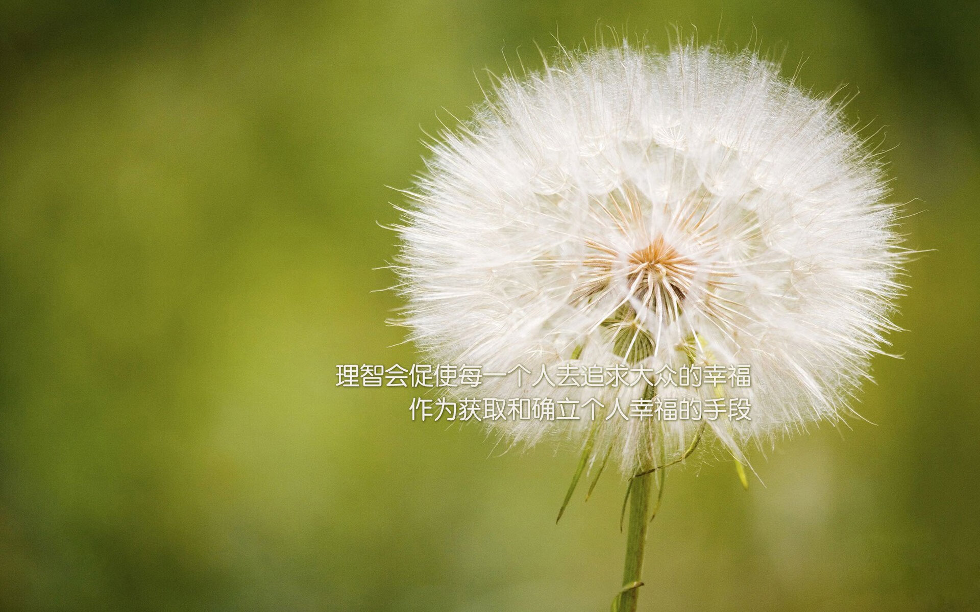 开云体育-沙漠之鹰亮剑多伦多,阿联酋2-1险胜加拿大,罗德里戈闪耀2026世界杯小组赛